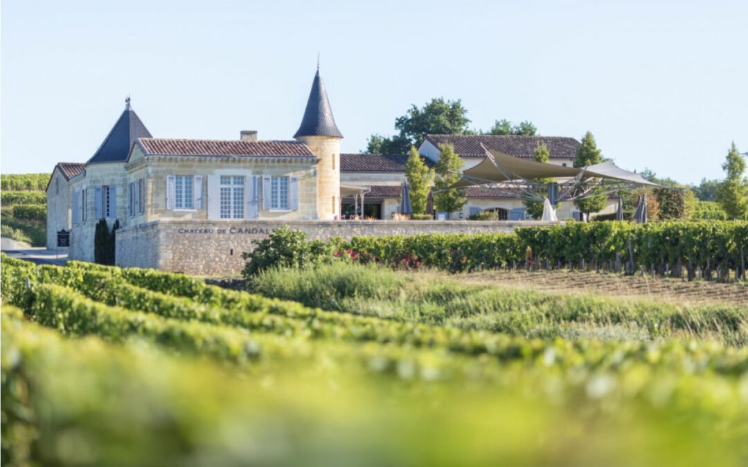 L&rsquo;Atelier de Candale Saint-Emilion